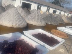 -苏州市吴中区光福窑上花果蜜饯厂