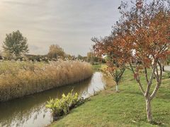 -安德鲁户外烧烤帐篷营地(马泉营店)