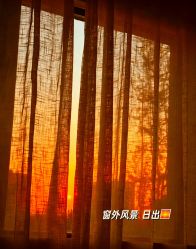 -爱弥儿月子中心(省医院店)