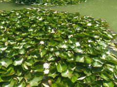 -镇江市南山风景名胜区竹林景区