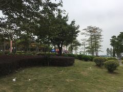 -飞来湖湿地公园