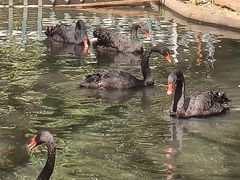 -镇江市南山风景名胜区竹林景区