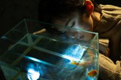 -鼎极摄影(世纪金源店)