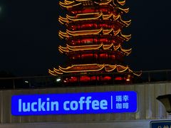 -黄鹤楼公园(黄鹤楼)