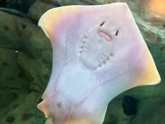 -珠海长隆海洋王国