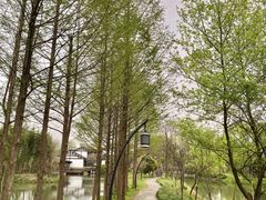 -西溪国家湿地公园