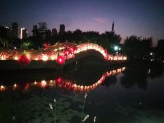-映月湖公园