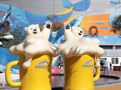 -海合安青岛极地海洋公园
