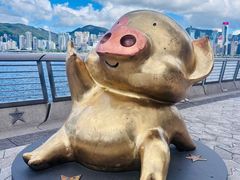 -星光大道