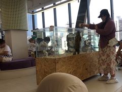 -怪兽屋·羊驼·猫咖·狗咖(俊华广场店)