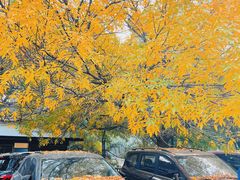 -元大都城垣遗址公园