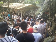 -牛鱼嘴原始生态风景区
