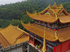 -东莞市大岭山森林公园