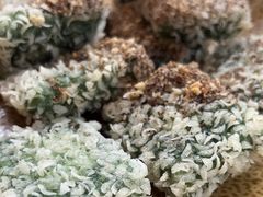 -古城苗家土菜馆(河景餐厅店)