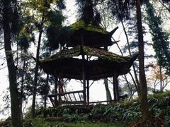 -青城山