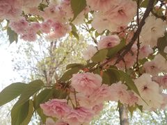 -济南国际园博园