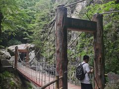 -牛背梁国家森林公园