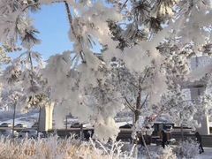 -长春公园(普阳街道)