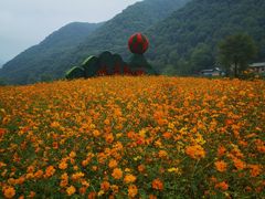 -关山草原
