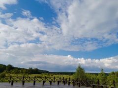 -塞罕坝国家级自然保护区