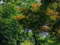 -岳麓山风景名胜区