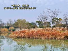 -梁鸿国家湿地公园