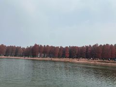 -四明湖