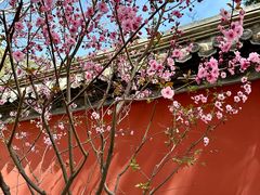 -国家植物园