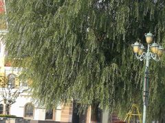 -大同方特欢乐世界