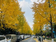 -小河直街历史文化街区