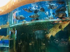 -南海渔村(珠江新城店)