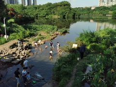 -重庆彩云湖湿地公园