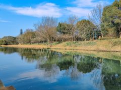 -西溪国家湿地公园