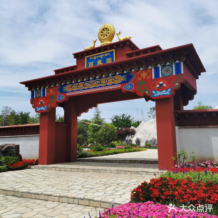 2021年第十届花博会在上海开幕啦❗❗