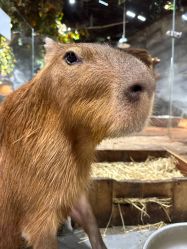 -Zoolung Zoolung动物主题公园(海信广场店)