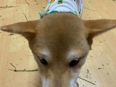 -猫色咖啡·猫咖