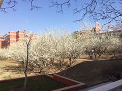 -东北师范大学(净月大街校区)