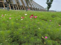 -中国天府农业博览园