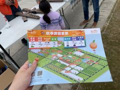 -前小桔亲子创意农场·草莓采摘·露营烧烤