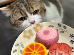 -北京稻香村(广安门店)