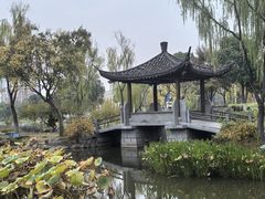 -武汉园博园(武汉自然博物馆)