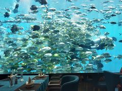 -瑞德姆美人鱼海底演艺主题餐厅(亚龙湾店)