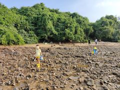 -坝光海滩