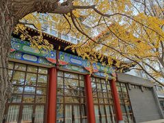 -四川大学(华西校区)