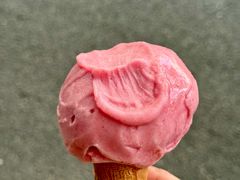 -红楼HONGLOU Gelato(淮海中路店)