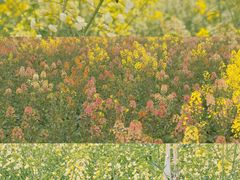 -中国天府农业博览园