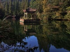 android_upload_pic-天明山温泉大酒店