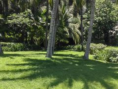 -海南清水湾莱佛士酒店