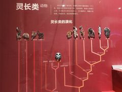 -国家自然博物馆