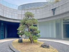 -广州市白云区图书馆